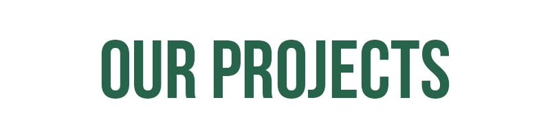 our projects